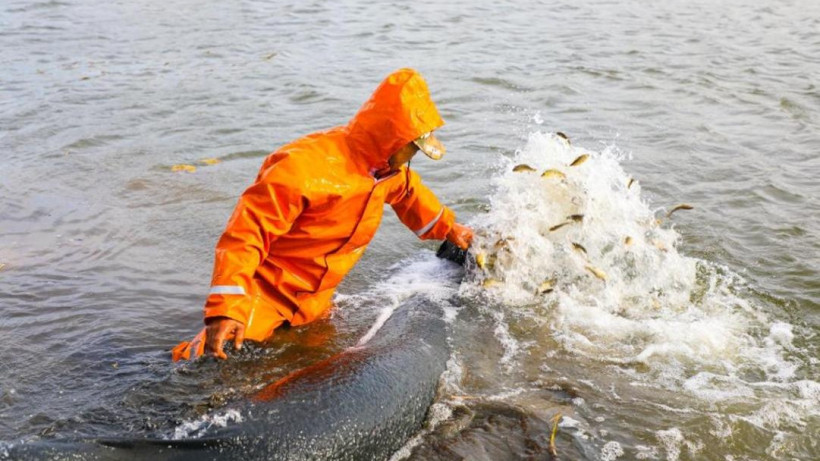  Астана қаласы әкімдігінің ресми сайты 