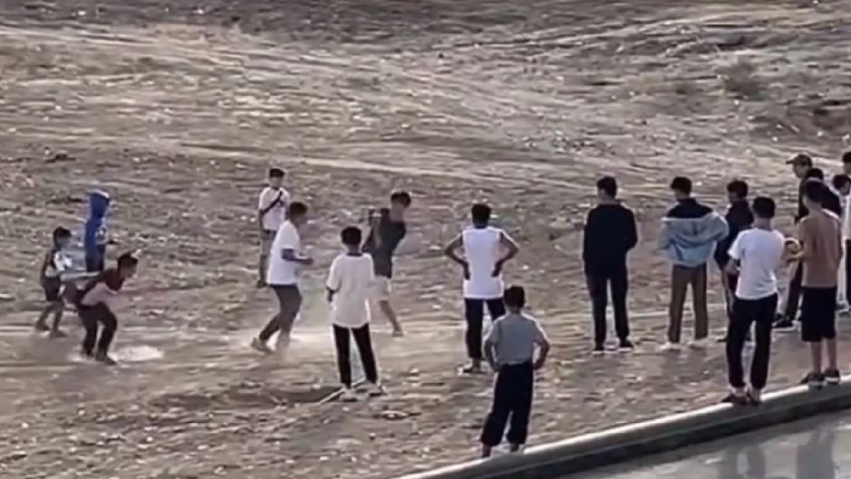  Видеодан кадр 