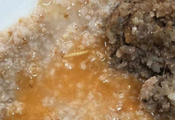 Павлодарда мектеп асханасындағы тамақтан құрт шықты