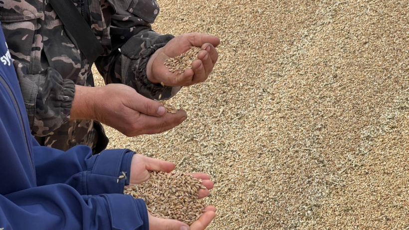  ©El.kz/Данияр БЕЙСЕМБАЕВ 