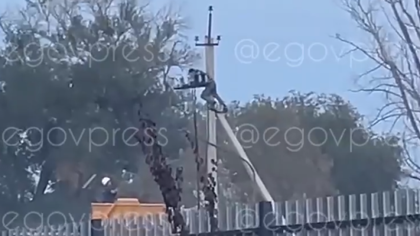  Видеодан алынған кадр 