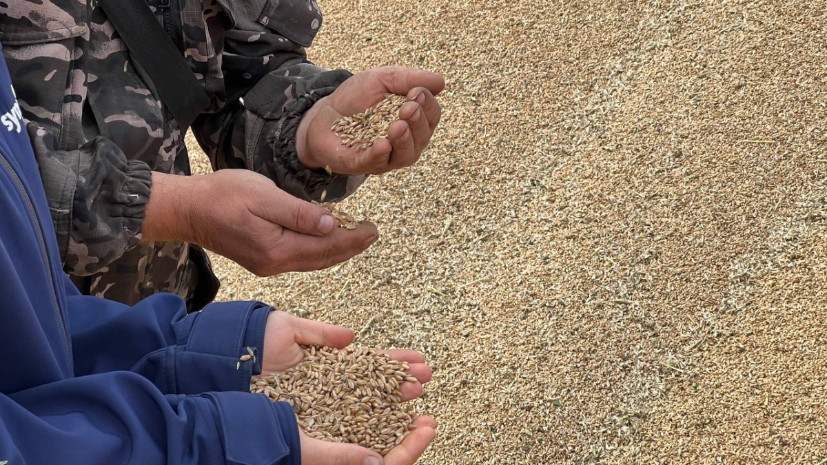  ©El.kz/Данияр БЕЙСЕМБАЕВ 