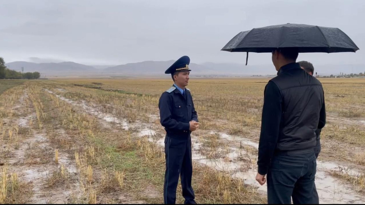  gov.kz 