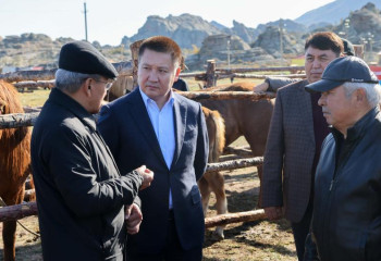 Международная конференция по коневодству состоялась в Павлодарской области