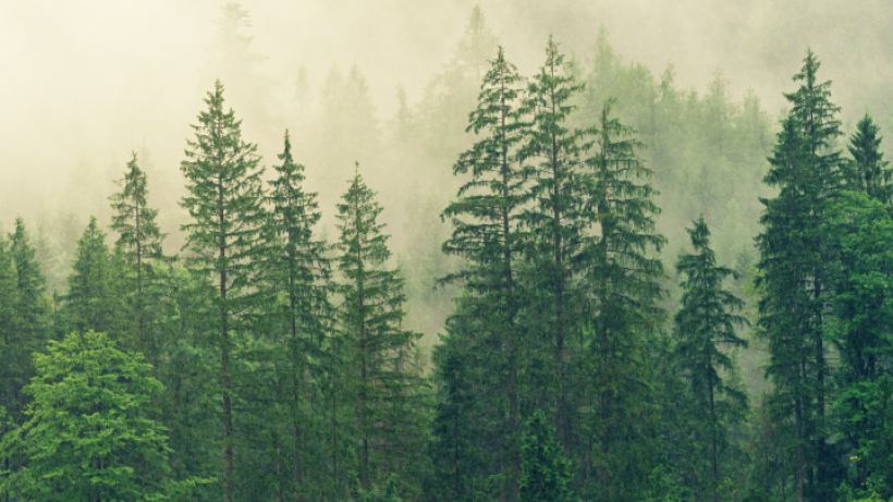  Экология және табиғи ресурстар министрлігінің баспасөз қызметі 