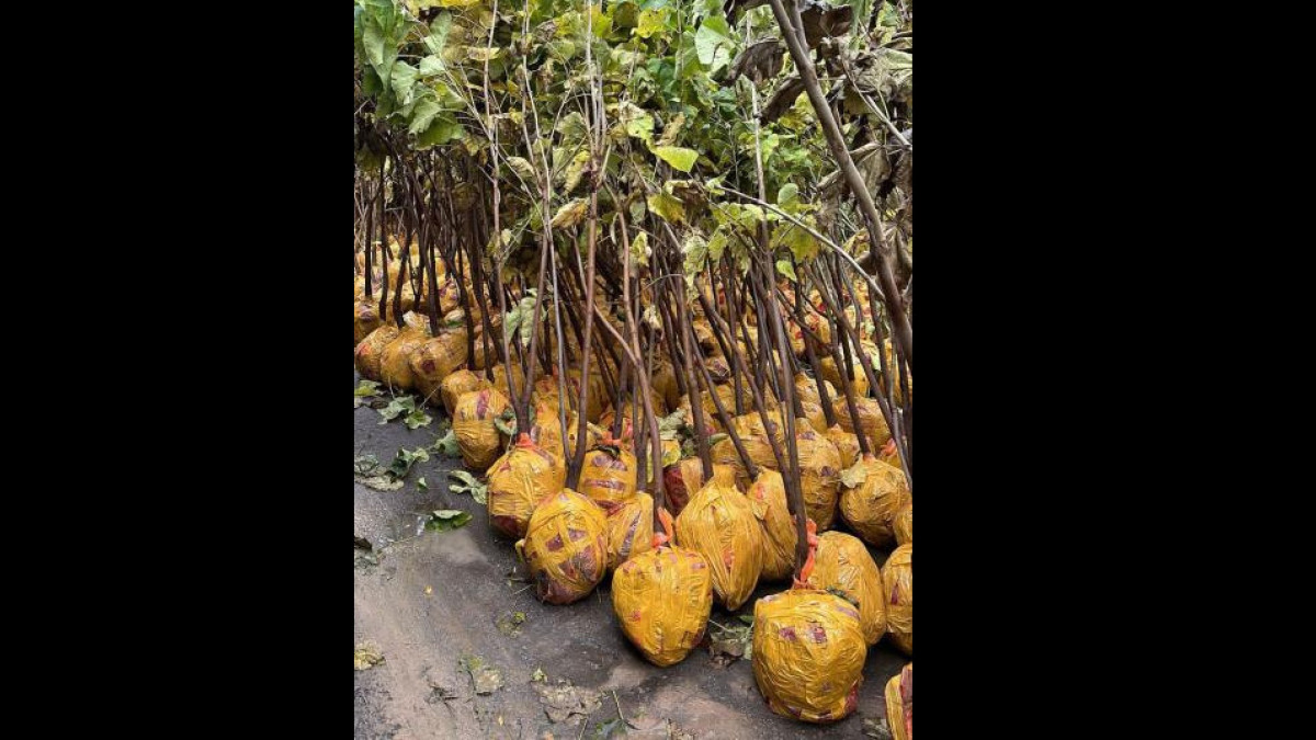  Алматы әкімдігінің баспасөз қызметі 