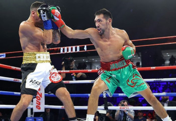 Жәнібек Әлімханұлы қанша табыс тапқаны белгілі болды