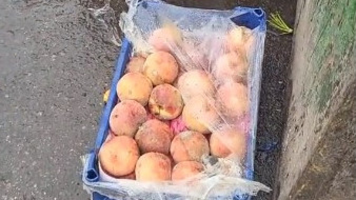 «Выбрасывают на мусорку коробки с персиками и зеленью» - казахстанец шокирован тем, что делают с непроданным товаром на «Алтын Орде»