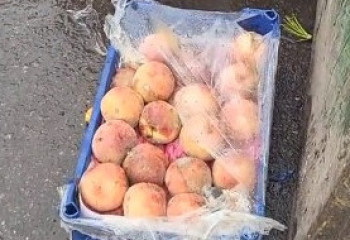 «Выбрасывают на мусорку коробки с персиками и зеленью» - казахстанец шокирован тем, что делают с непроданным товаром на «Алтын Орде»