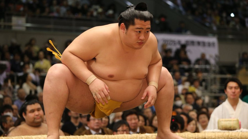  twitter.com/sumokyokai 