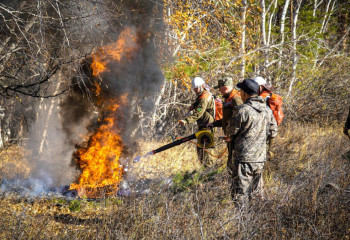 Ақмола облысында табиғи өртті сөндіру бойынша ауқымды жаттығулар өткізілді
