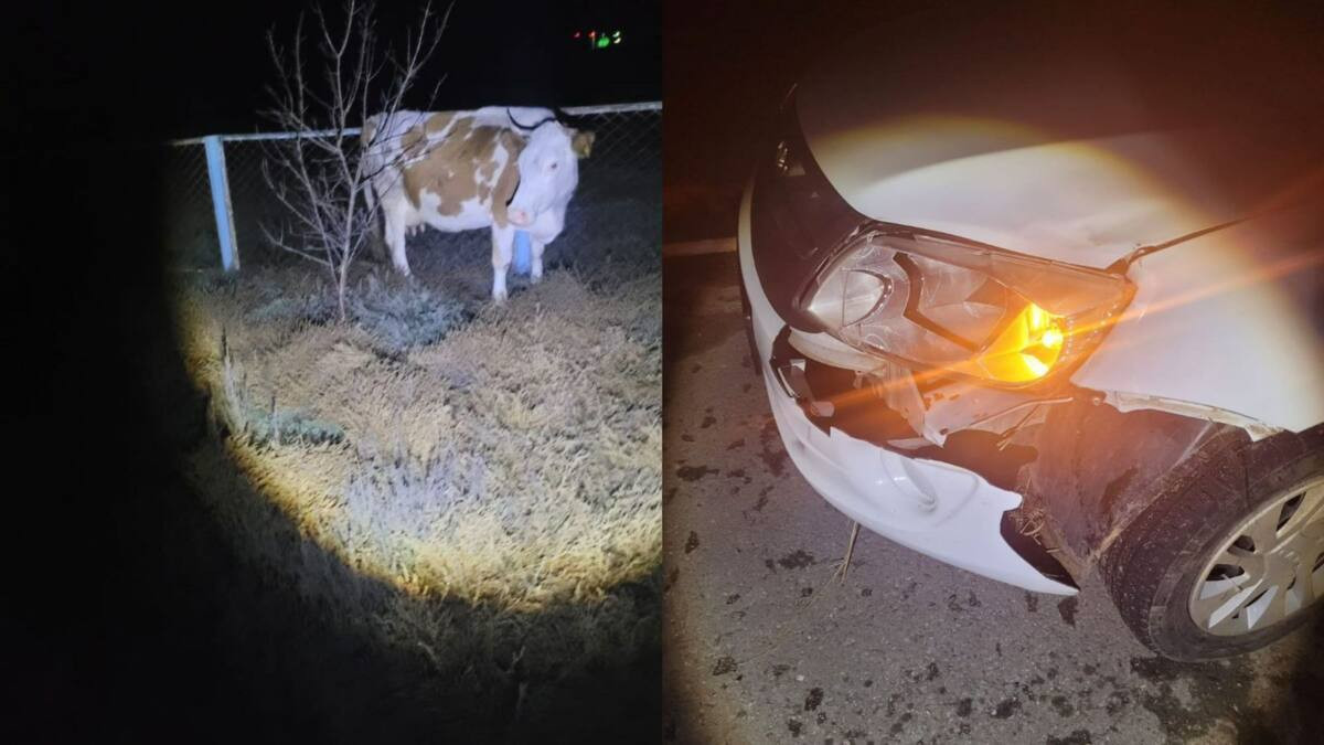  ІІМ-нің баспасөз қызметі 