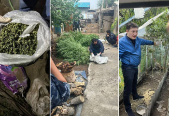 Свыше 200 кг наркотиков изъято в Жетысуской области