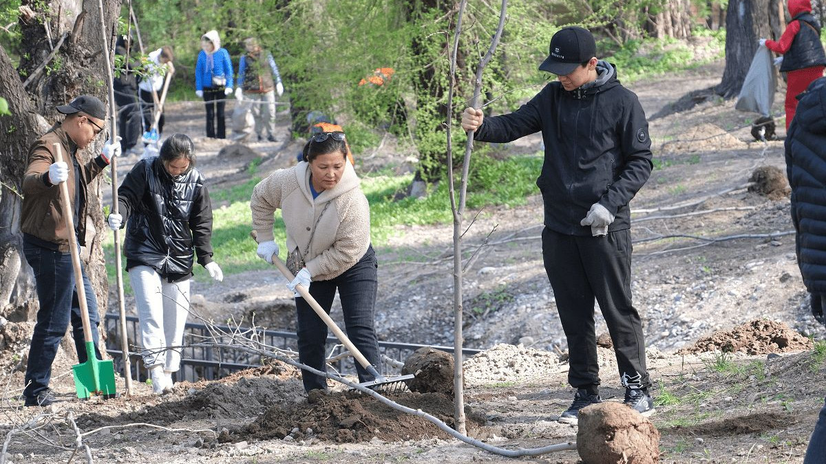  gov.kz 
