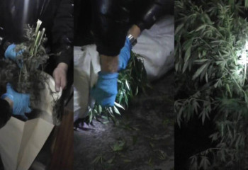 ШҚО-ның 54 жастағы тұрғыны ауласында есірткі сақтаған