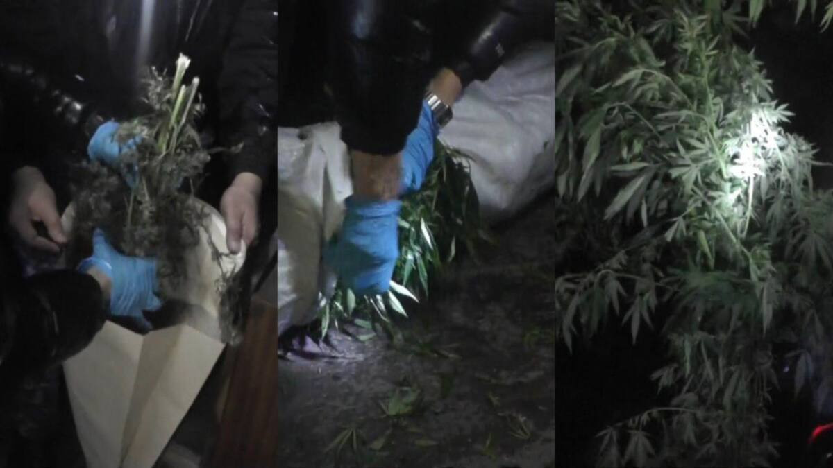  видеодан алынған кадр 