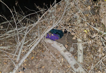 Двое малышей пропали без вести в области Абай