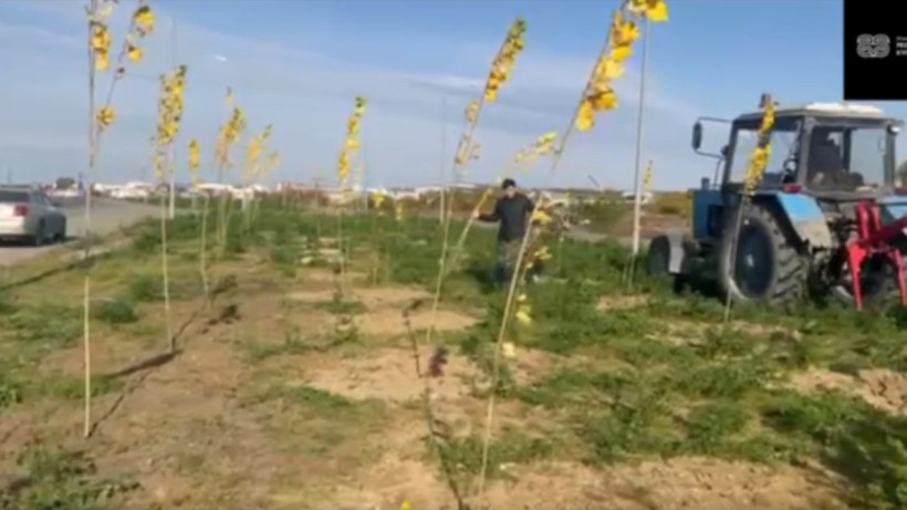  Кадр из видео 