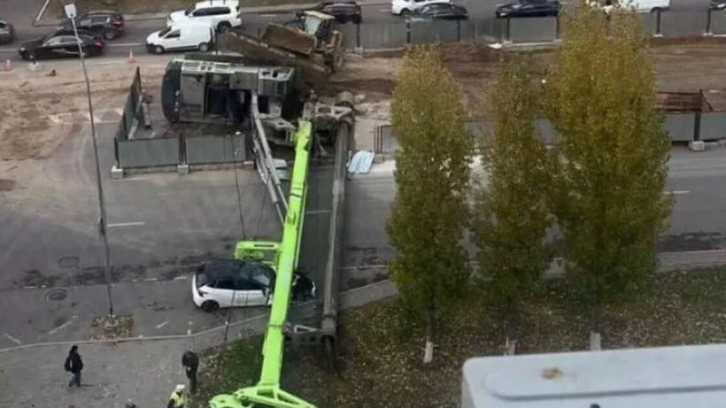  Видеодан кадр 