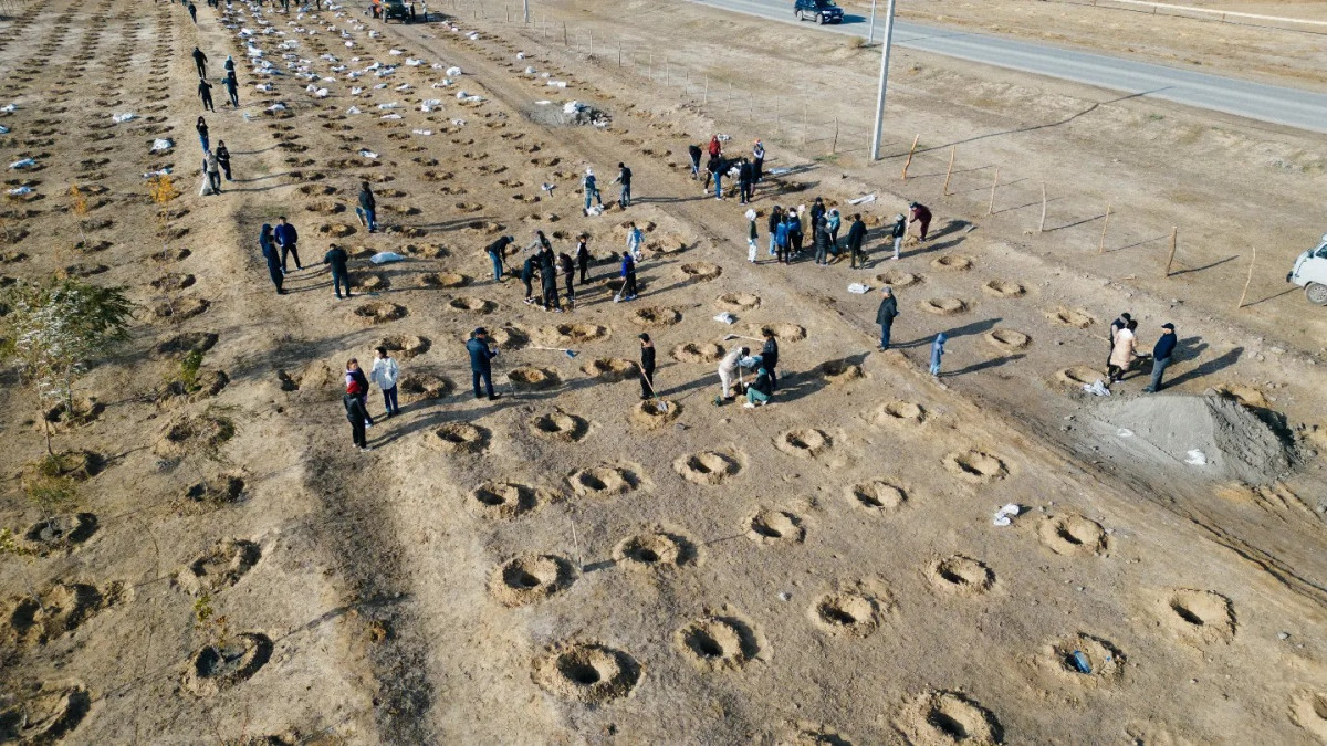  rscatyrau 