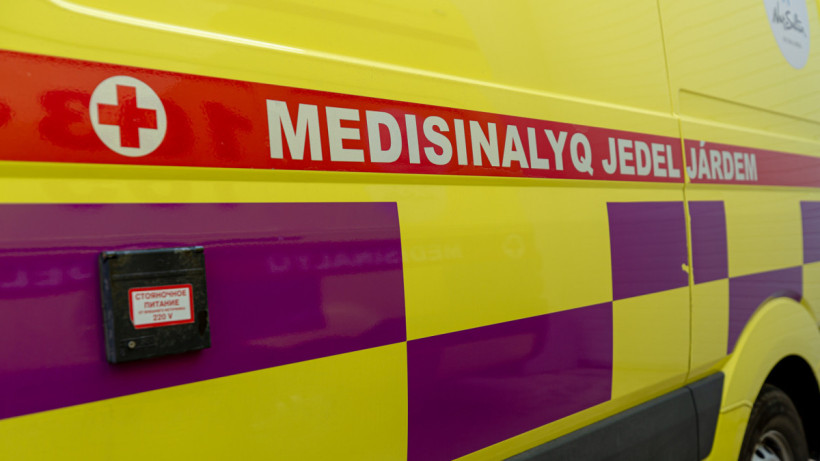  ©El.kz/Артем ЧУРСИНОВ 