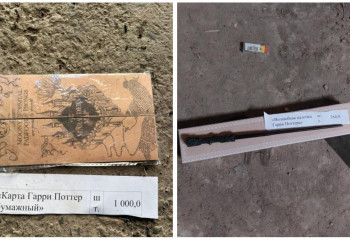 Волшебные палочки Гарри Поттера могут бесплатно получить казахстанские чиновники