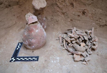 ҚазҰУ археологтары ерекше құнды бұйымдар тапты