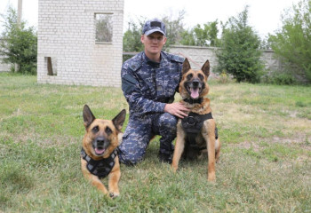 «Четырехлапые полицейские» нашли более 6 тонн наркотиков