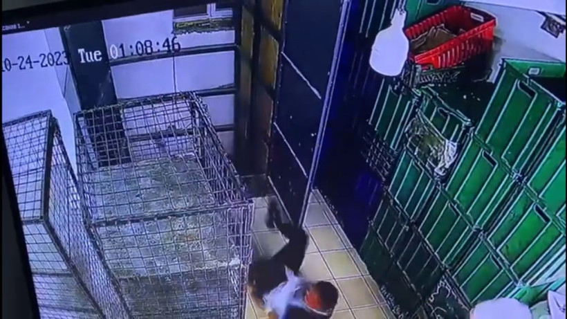  Кадр из видео 