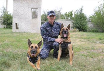 Қазақстандық полицияда 700-ге жуық қызметтік ит бар