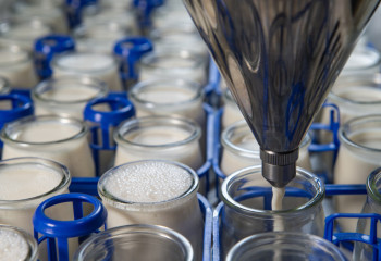 Алматы облысында сүт өндірісі саласындағы біліктілікті арттыру жүргізіледі