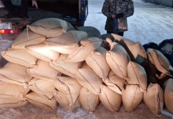 Жыл сайын 30 тонна есірткі тәркіленеді: Полиция есірткіні қалай жоятынын айтты
