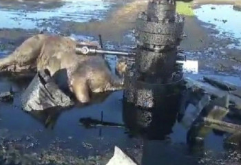 Мұнай ұңғымалары 2,5 миллион адам пайдаланатын ауыз су көзін ластап отыр