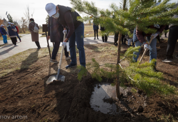 Бюджет Казахстана может пострадать из-за гибели 128 миллионов деревьев