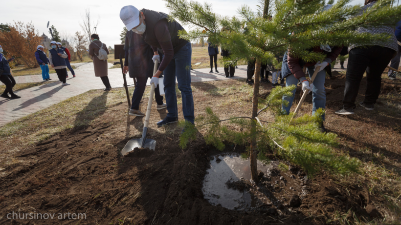  ©El.kz/Артем ЧУРСИНОВ 
