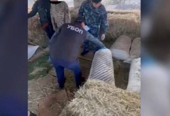 Жамбыл облысында өңірлерге есірткі тасымалдайтын қылмыстық топ ұсталды