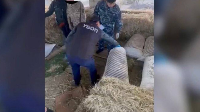  Видеодан кадр 