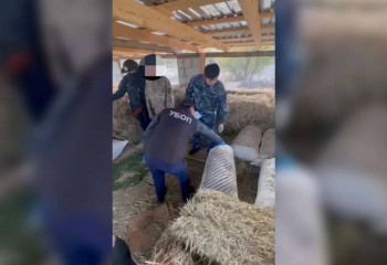 Полиция показала, как взяли преступную группу наркосбытчиков со 145 кг «товара»