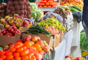 Сельскохозяйственная ярмарка аграриев Акмолинской области пройдет в Астане
