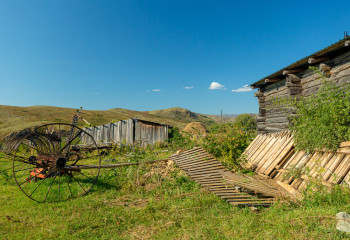 Потенциал не раскрыт: как в Казахстане развивается семейное сельское хозяйство