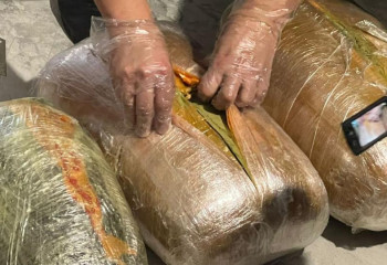 КНБ ликвидировал наркогруппировку в Жамбылской области