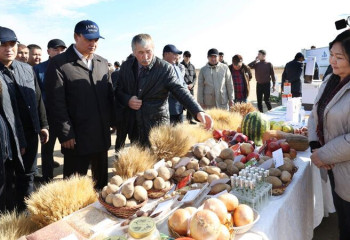 Традиционный день поля провели в Жамбылской области
