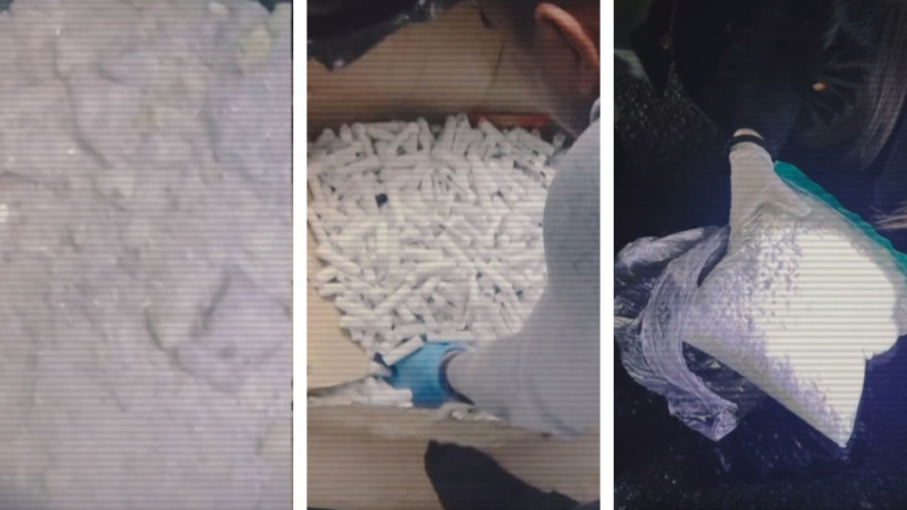  Видеодан кадр 