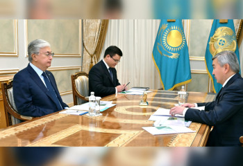 Tokayev receives  Chairman of the Board of National Management Holding Baiterek