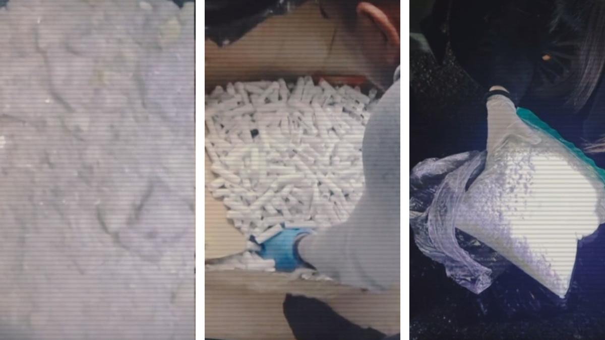  Видеодан кадр 