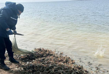 1,2 тонны живых раков на 7,7 млн тенге конфисковали у жителя ВКО