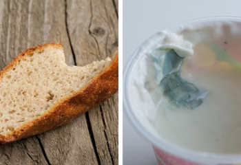 «Балалар мектепте қатқан нан мен көгерген йогурт жеген». Министр жағдайды бақылауға алатынын айтты