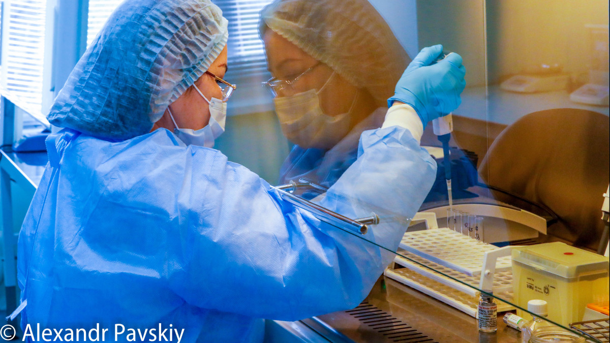  ©El.kz/Александр ПАВСКИЙ 