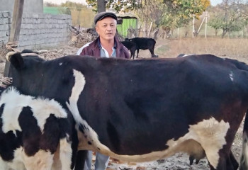 Кәсіп бастауға барлық жағдай жасалған - кәсіпкер