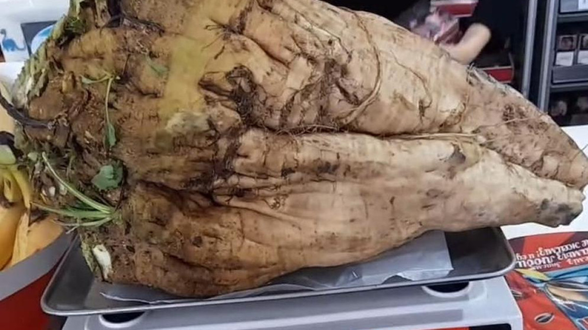  Жетісу облысының әкімдігі 